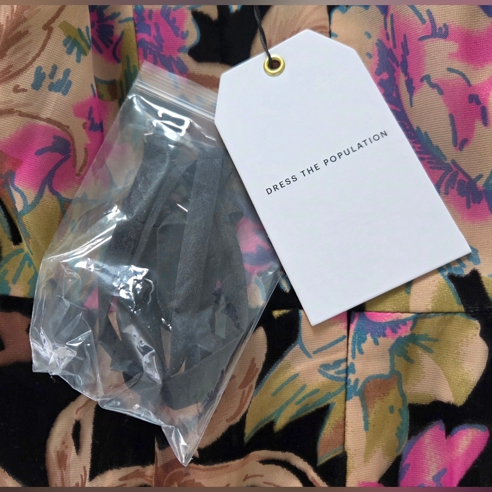 NWT DRESS THE POPULATION PARIS VELVET BURNOUT FLORAL GOWN. - Picture 8 of 9